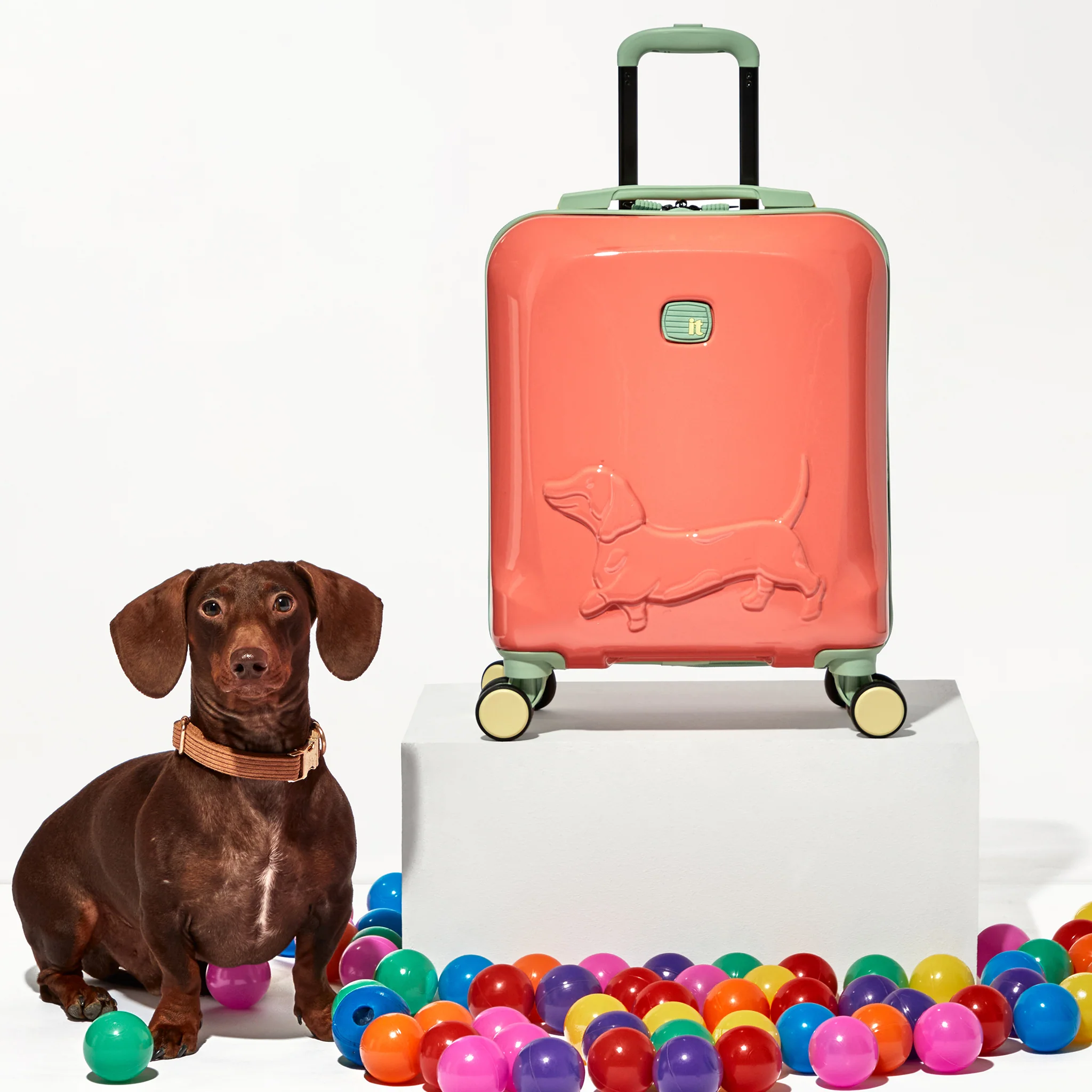 Daxie - Kids Underseat (Fusion Coral) - Image 12